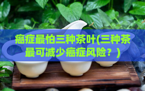 癌症最怕三种茶叶(三种茶最可减少癌症风险？)