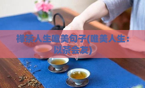禅茶人生唯美句子(唯美人生：以茶会友)