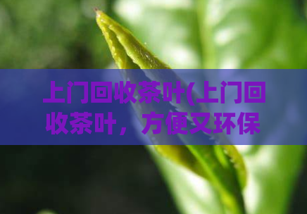 上门回收茶叶(上门回收茶叶，方便又环保)