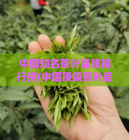 中国知名茶叶品牌排行榜(中国顶级茶叶品牌排行榜)