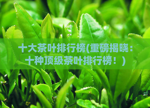 十大茶叶排行榜(重磅揭晓：十种顶级茶叶排行榜！)