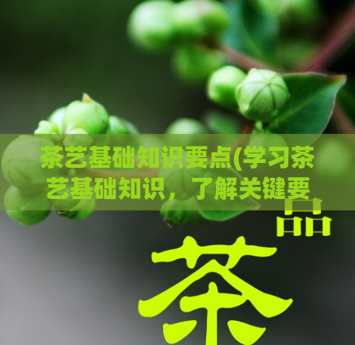 茶艺基础知识要点(学习茶艺基础知识,了解关键要点)