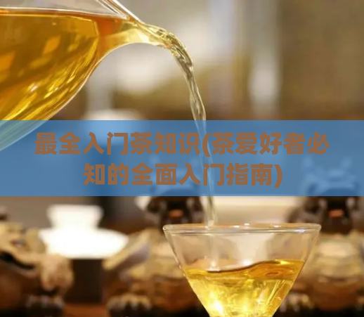 最全入门茶知识(茶爱好者必知的全面入门指南)
