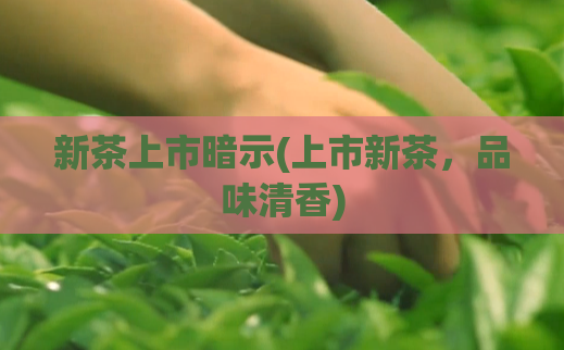 新茶上市暗示(上市新茶，品味清香)