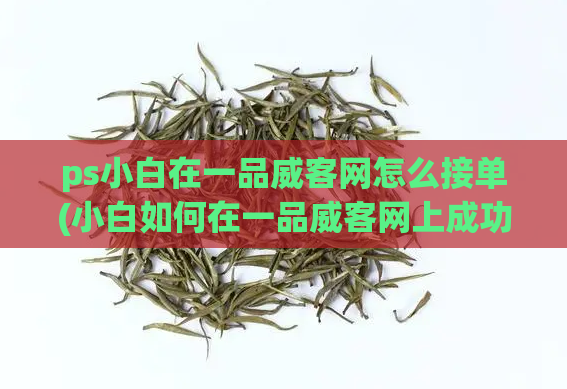 ps小白在一品威客网怎么接单(小白如何在一品威客网上成功接单)