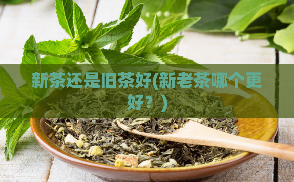 新茶还是旧茶好(新老茶哪个更好？)