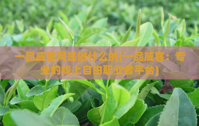 一品威客网是做什么的(一品威客：专业的线上自由职业者平台)
