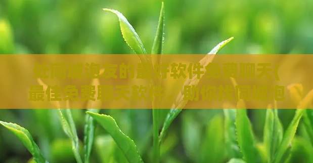 处同城泡友的最好软件免费聊天(最佳免费聊天软件，助你找同城泡友)