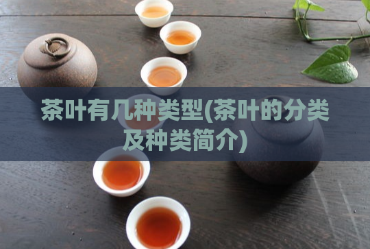 茶叶有几种类型(茶叶的分类及种类简介)