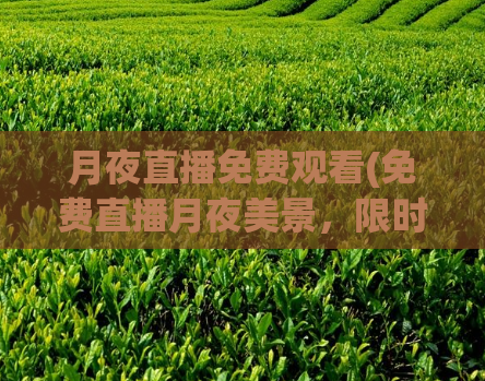 月夜直播免费观看(免费直播月夜美景,限时观赏!)