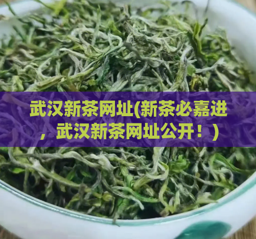 武汉新茶网址(新茶必嘉进，武汉新茶网址公开！)