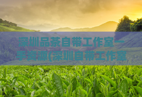 深圳品茶自带工作室一手资源(深圳自带工作室提供一手品茶资源)