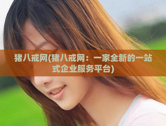 猪八戒网(猪八戒网：一家全新的一站式企业服务平台)
