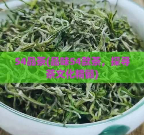 54品茶(品味54款茶，探寻茶文化精髓)