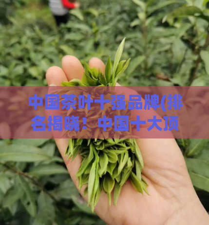 中国茶叶十强品牌(排名揭晓！中国十大顶尖茶叶品牌盘点)
