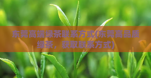 东莞高端绿茶联系方式(东莞高品质绿茶，获取联系方式)