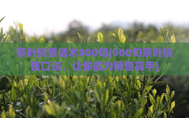 茶叶销售话术900句(900句茶叶销售口诀，让你成为销售高手)