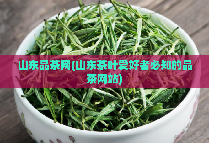 山东品茶网(山东茶叶爱好者必知的品茶网站)