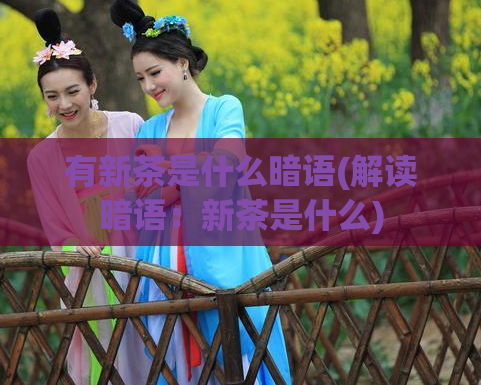 有新茶是什么暗语(解读暗语：新茶是什么)
