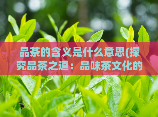 品茶的含义是什么意思(探究品茶之道：品味茶文化的精髓)