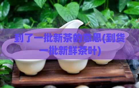 到了一批新茶的意思(到货一批新鲜茶叶)