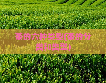 茶的六种类型(茶的分类和类型)