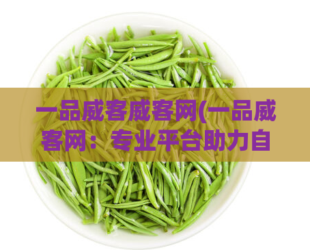 一品威客威客网(一品威客网：专业平台助力自由职业者)