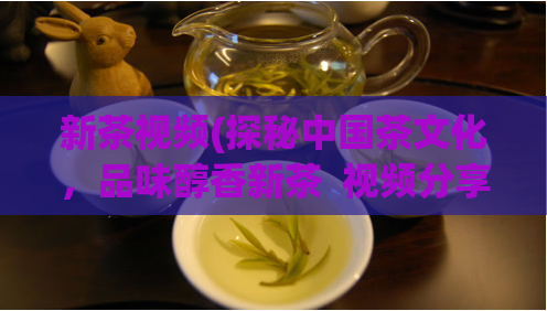 新茶视频(探秘中国茶文化，品味醇香新茶  视频分享)