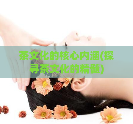 茶文化的核心内涵(探寻茶文化的精髓)
