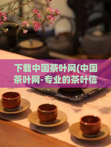 下载中国茶叶网(中国茶叶网-专业的茶叶信息服务平台)