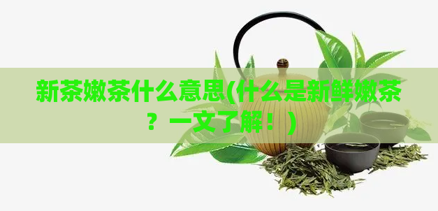 新茶嫩茶什么意思(什么是新鲜嫩茶？一文了解！)
