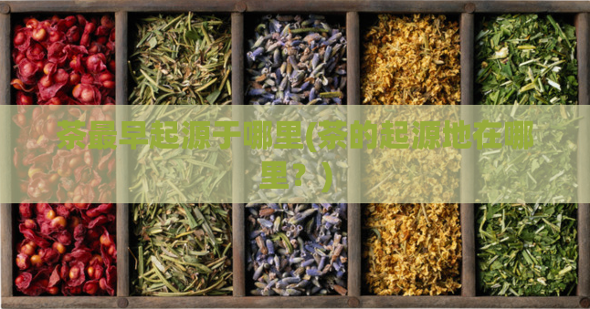 茶最早起源于哪里(茶的起源地在哪里？)