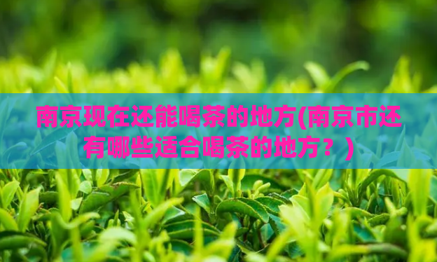 南京现在还能喝茶的地方(南京市还有哪些适合喝茶的地方？)