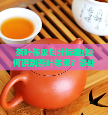 茶叶等级划分标准(如何识别茶叶等级？茶叶等级划分标准解析)