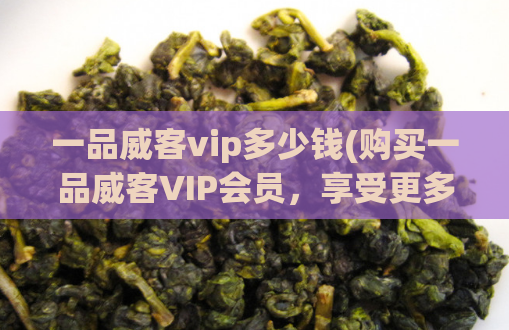 一品威客vip多少钱(购买一品威客VIP会员，享受更多特权)