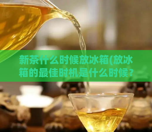 新茶什么时候放冰箱(放冰箱的最佳时机是什么时候？)