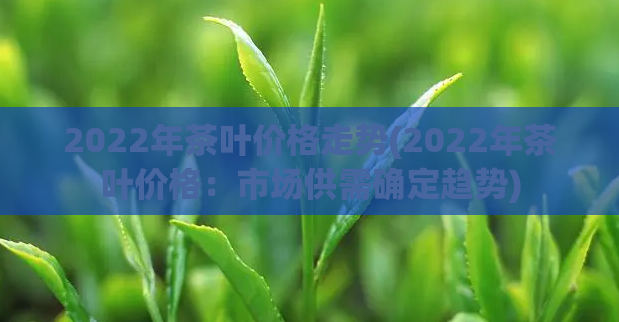 2022年茶叶价格走势(2022年茶叶价格：市场供需确定趋势)