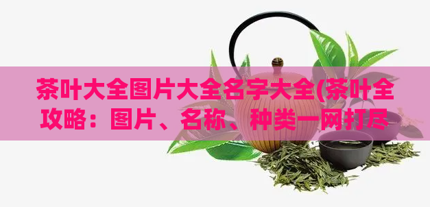 茶叶大全图片大全名字大全(茶叶全攻略：图片、名称、种类一网打尽)