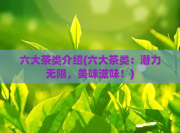 六大茶类介绍(六大茶类:潜力无限,美味滋味!)