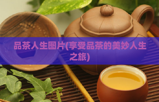 品茶人生图片(享受品茶的美妙人生之旅)