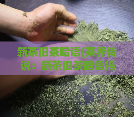 新茶旧茶暗语(茶界传说：新茶旧茶暗语揭秘)