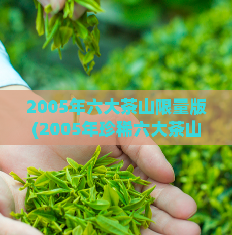 2005年六大茶山限量版(2005年珍稀六大茶山，限量版重磅推出)