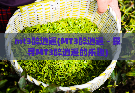 mt3醉逍遥(MT3醉逍遥 - 探寻MT3醉逍遥的乐趣)