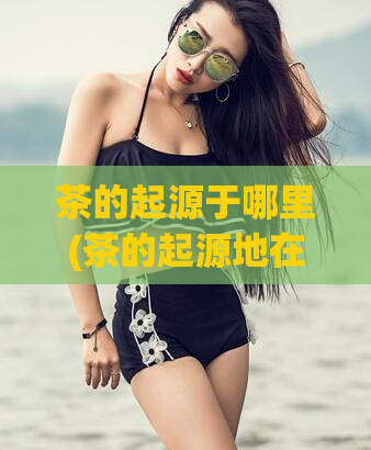 茶的起源于哪里(茶的起源地在哪里？)