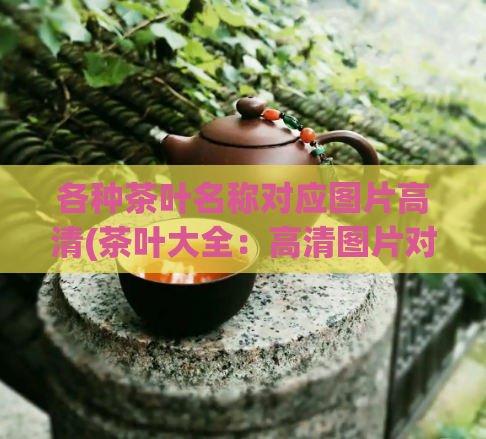 各种茶叶名称对应图片高清(茶叶大全：高清图片对应各种茶叶名称！)