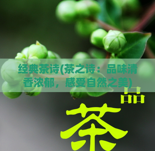 经典茶诗(茶之诗：品味清香浓郁，感受自然之美)