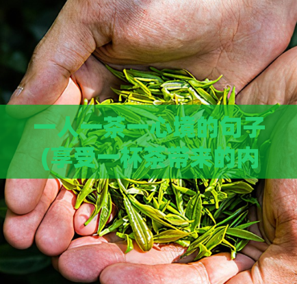 一人一茶一心境的句子(享受一杯茶带来的内心平静和放松)
