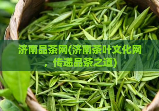 济南品茶网(济南茶叶文化网，传递品茶之道)