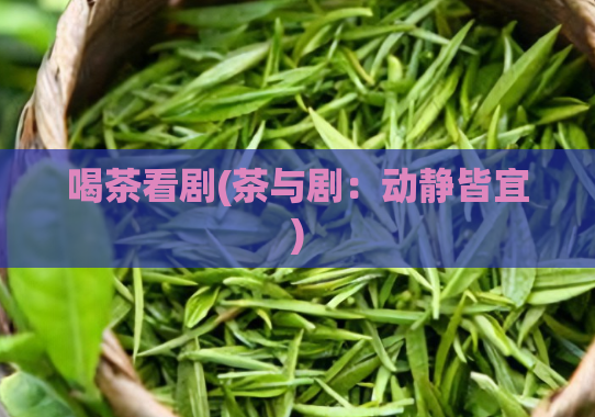 喝茶看剧(茶与剧：动静皆宜)
