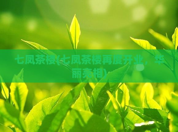 七凤茶楼(七凤茶楼再度开业，华丽亮相)